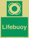 lifebuoy-with-symbol~
